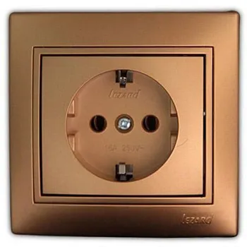 large_lezard_701_1313_122