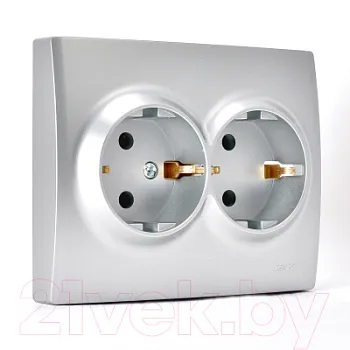 karina7074300127_lezard_5e54ecaa73ed4