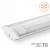WT82120_02_1