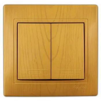 Lezard_Vyklyuchatel__2kl._ol_ha_701_0701_101