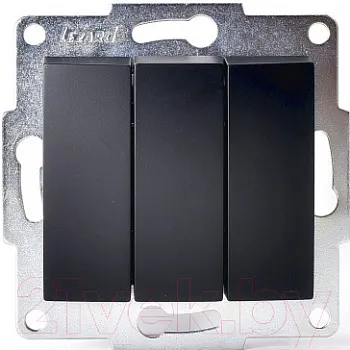 karina7074288109_lezard_5e4e5d9f01954