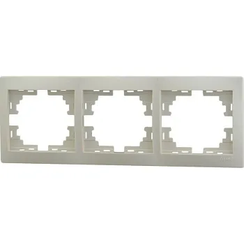 large_lezard_701_0300_148