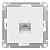 atn000183_images_0