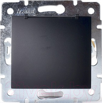 karina7074288123_lezard_5e4e33c34a1ef