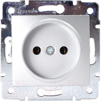 karina7074388121_lezard_5e54e93ed3418