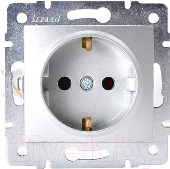 karina7074388122_lezard_5e54ea871f1b1