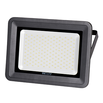 WFL_150W_06_1