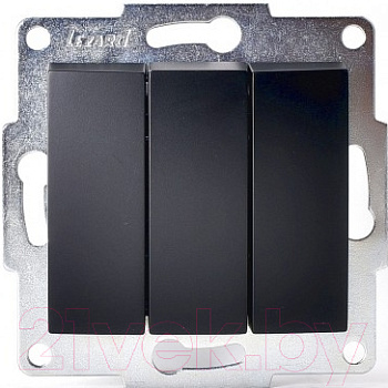 karina7074288109_lezard_5e4e5d9f01954